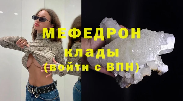 стаф Верея