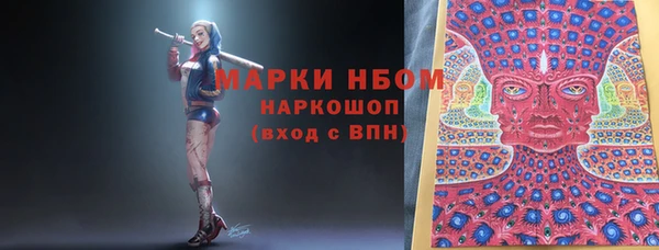 стаф Верея
