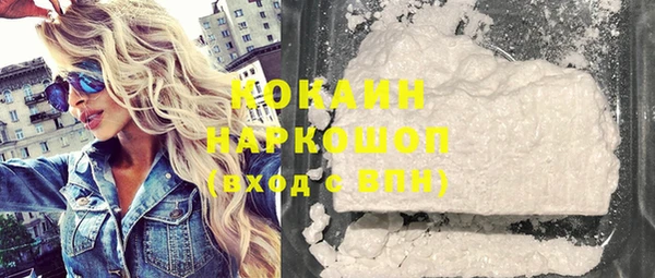 стаф Верея
