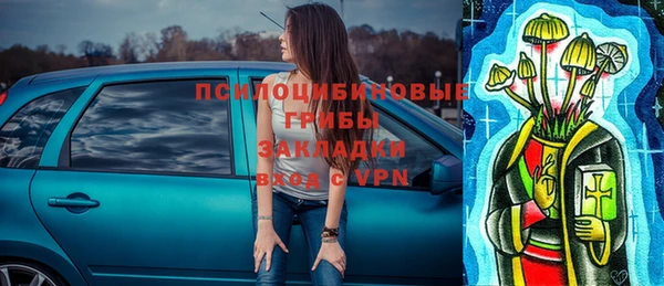 стаф Верея