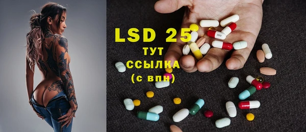 стаф Верея