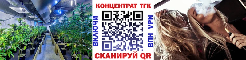 ТГК Wax  Георгиевск 